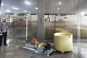 2臺日產10噸片冰機，湛江食品加工