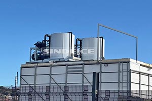 南非海鮮水產保鮮，2臺日產30噸片冰機